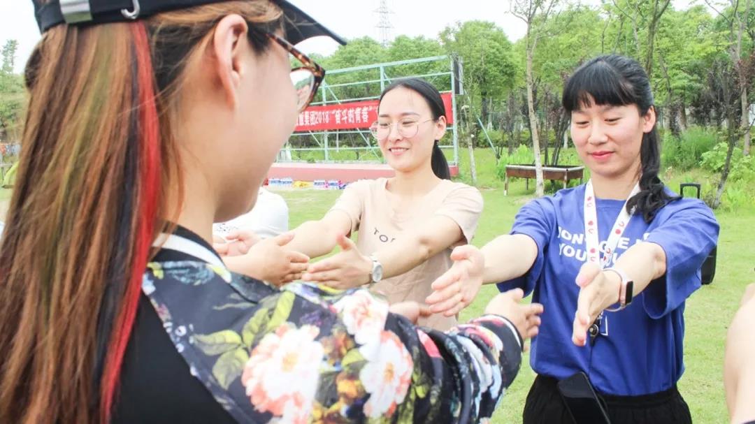 香港六台合资料免费大全