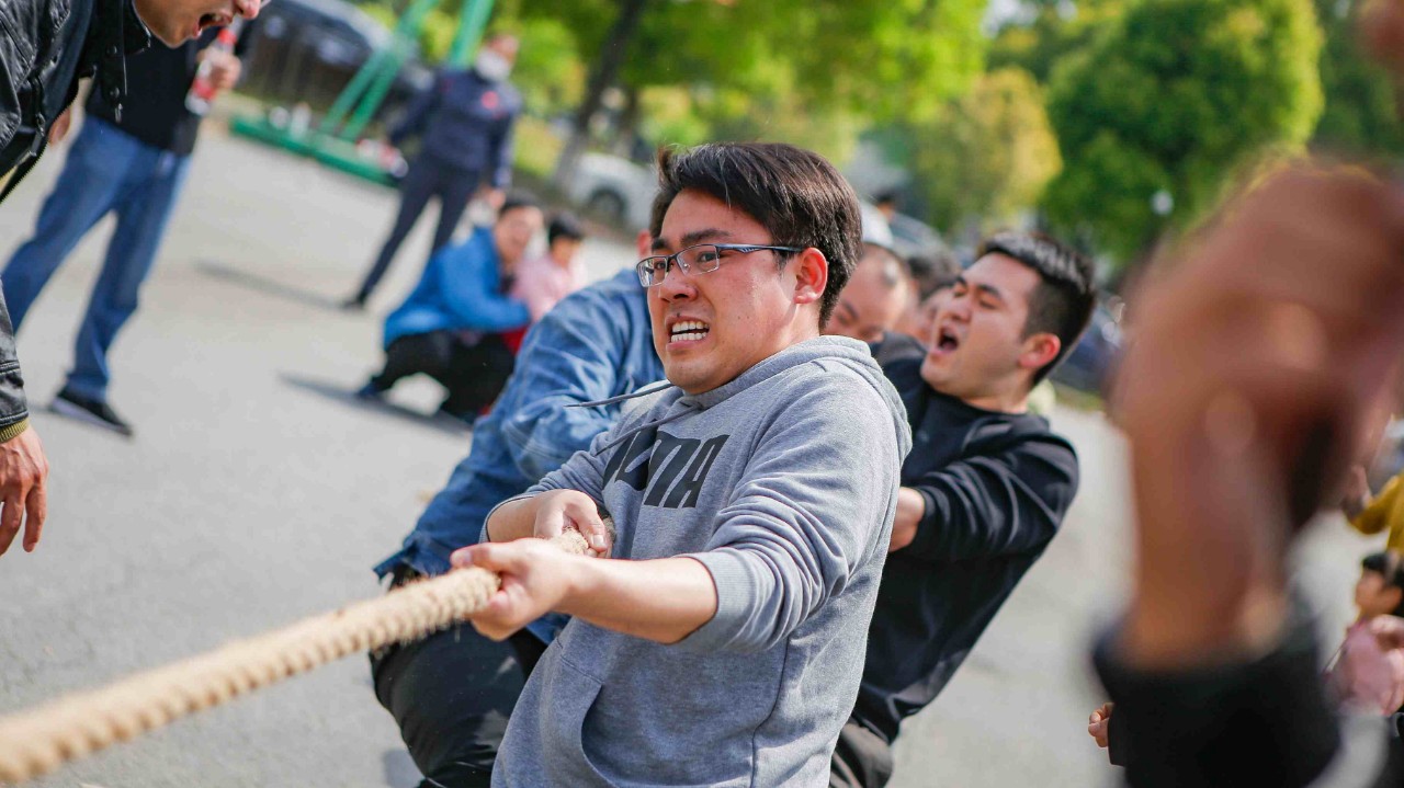 香港六台合资料免费大全