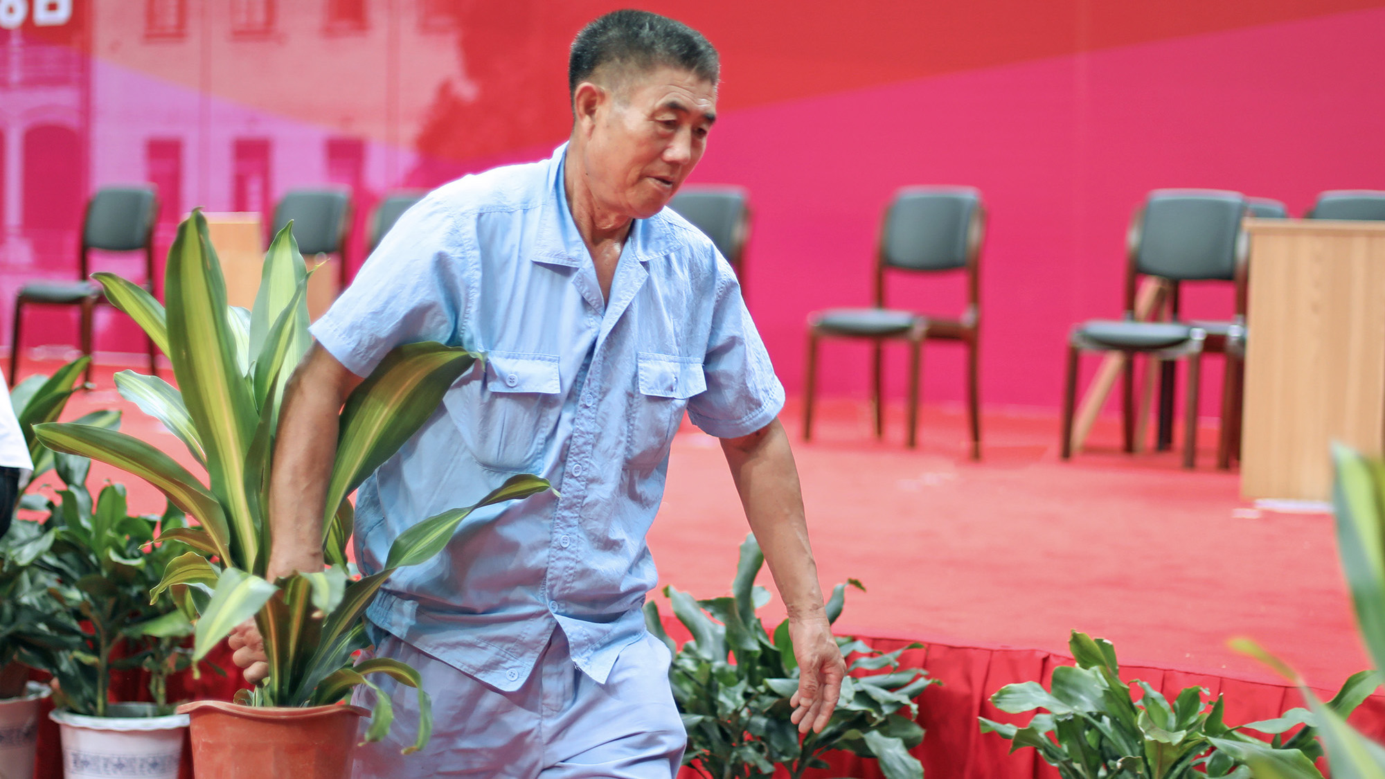 香港六台合资料免费大全