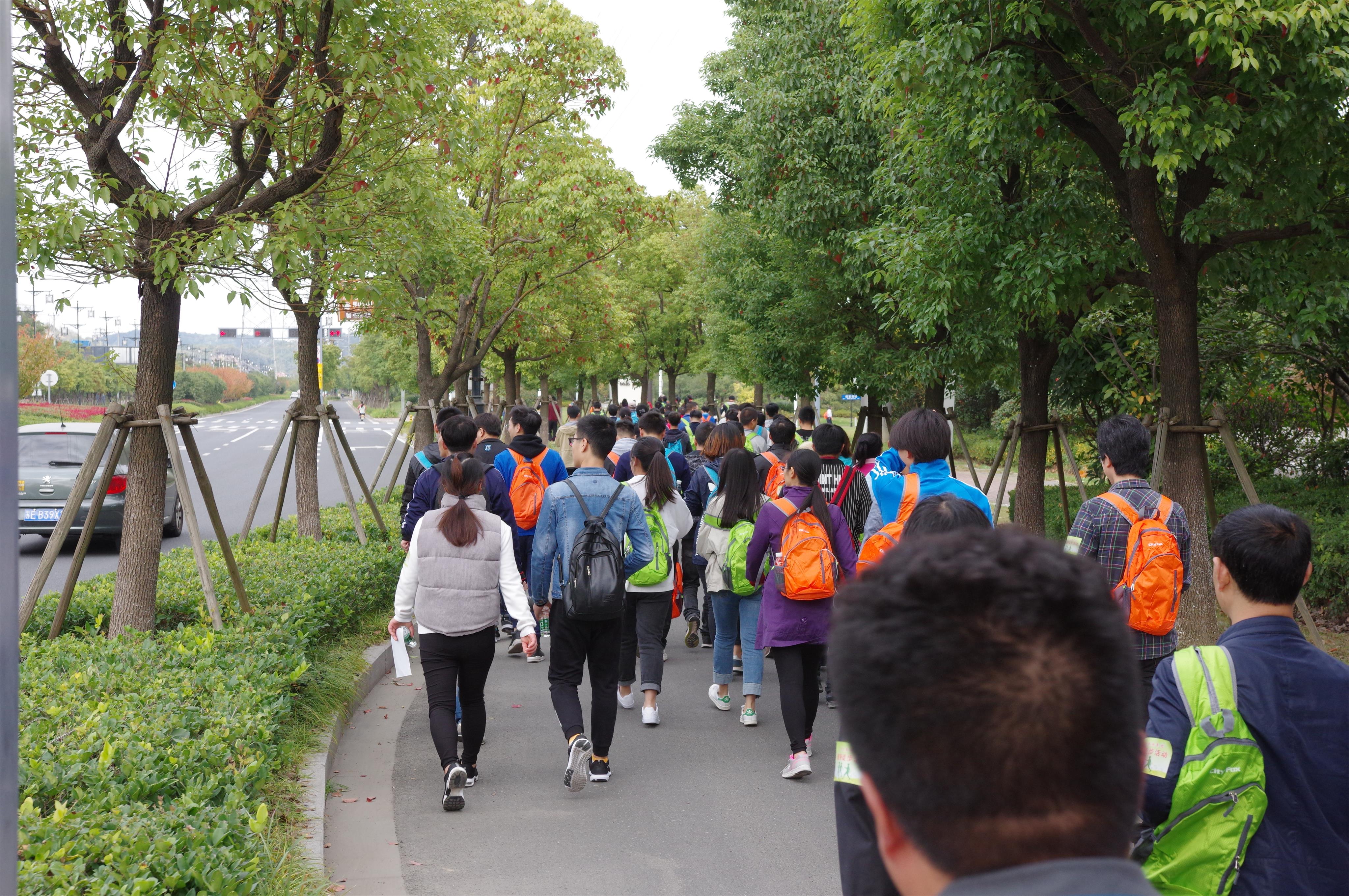 香港六台合资料免费大全