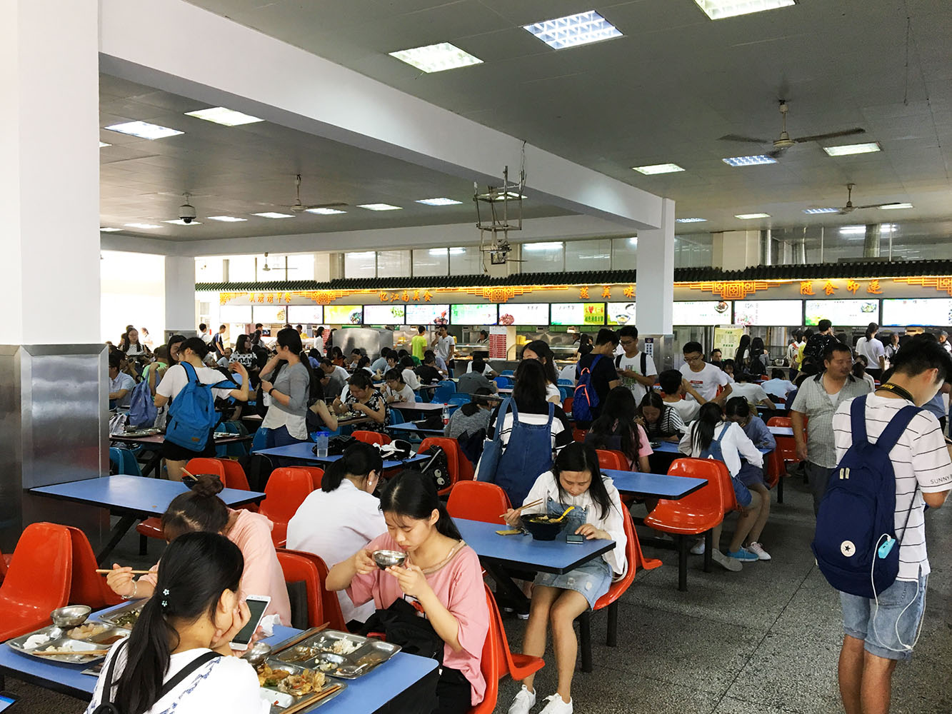 香港六台合资料免费大全