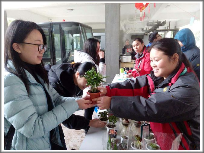 香港六台合资料免费大全