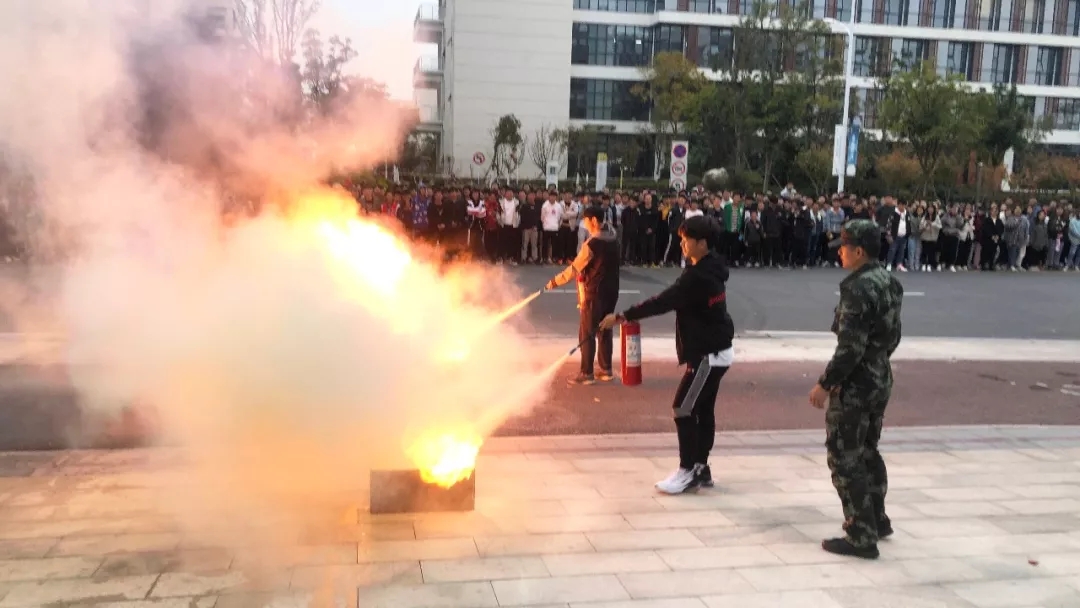 香港六台合资料免费大全