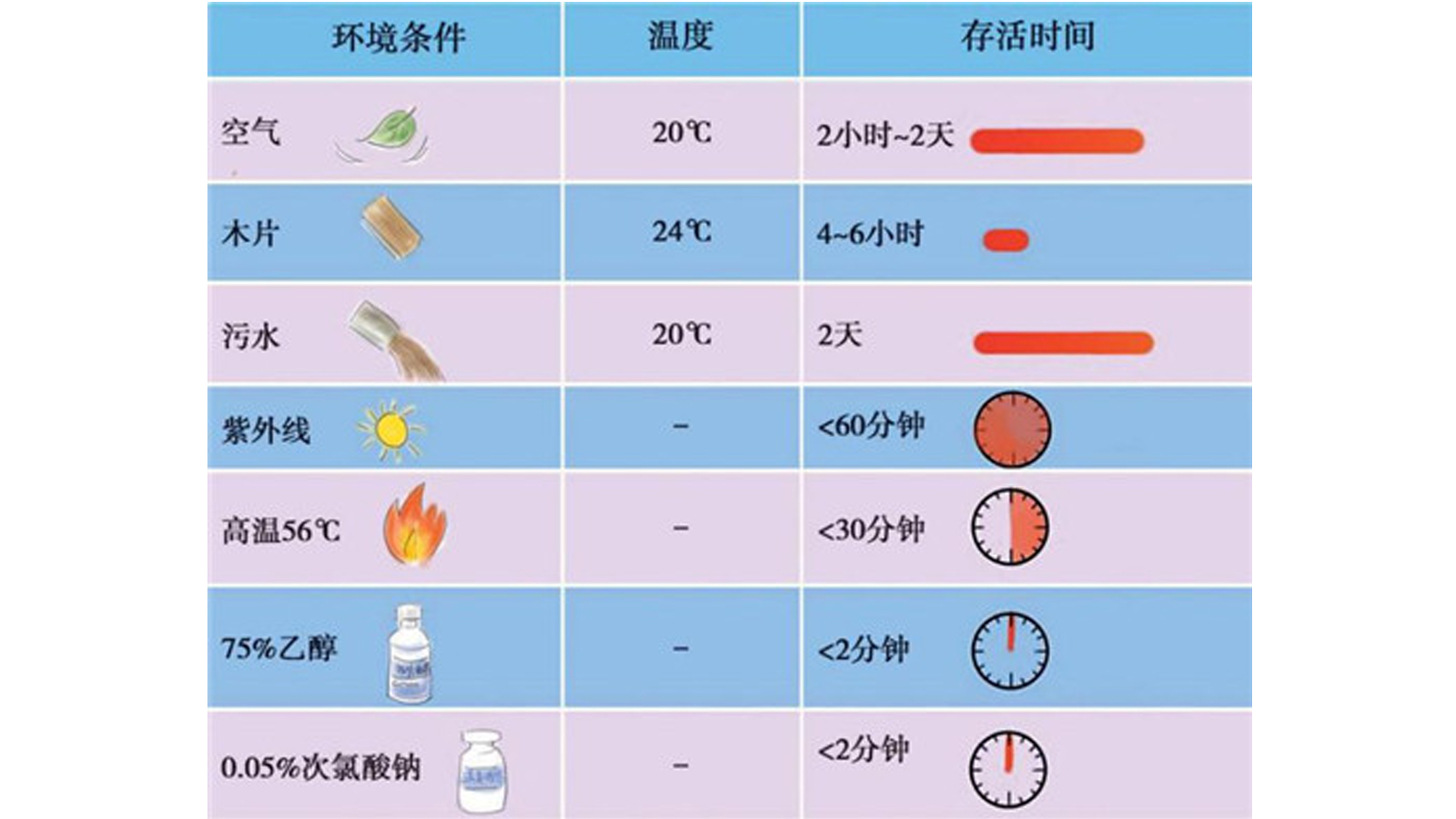 香港六台合资料免费大全