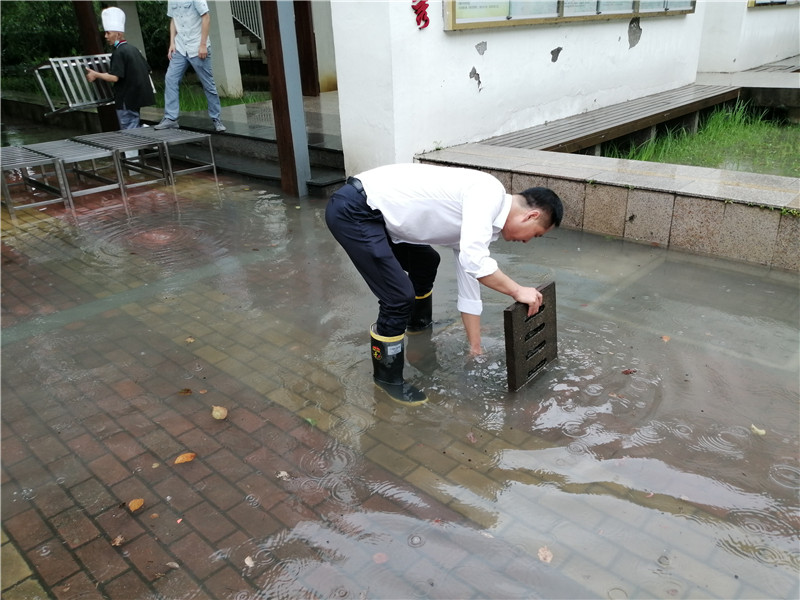 香港六台合资料免费大全