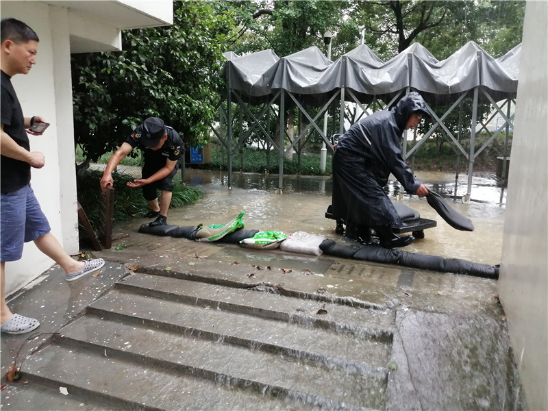 香港六台合资料免费大全