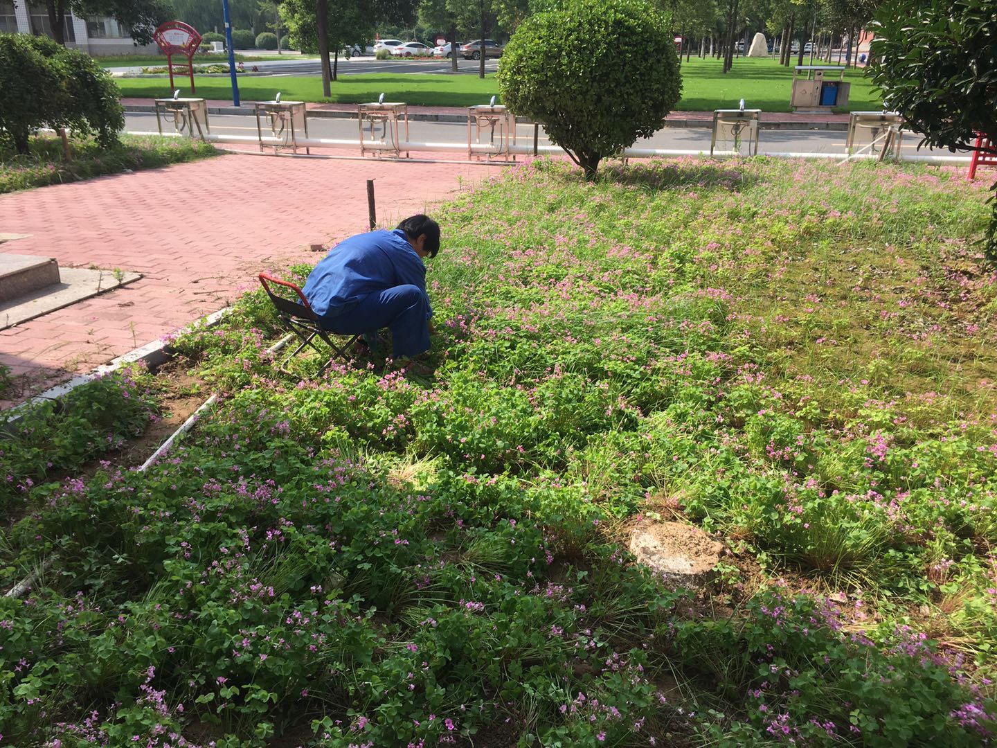 香港六台合资料免费大全