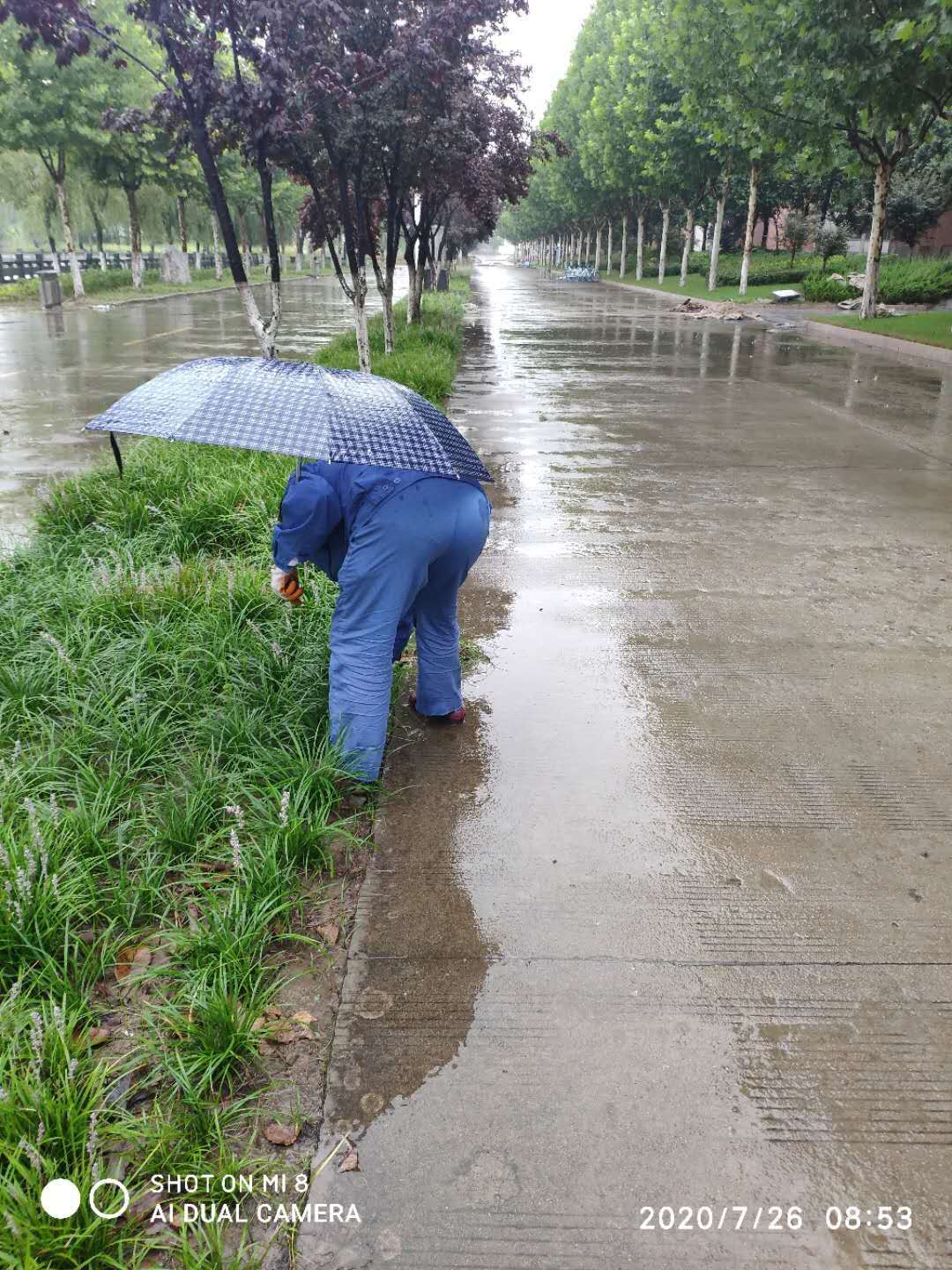 香港六台合资料免费大全