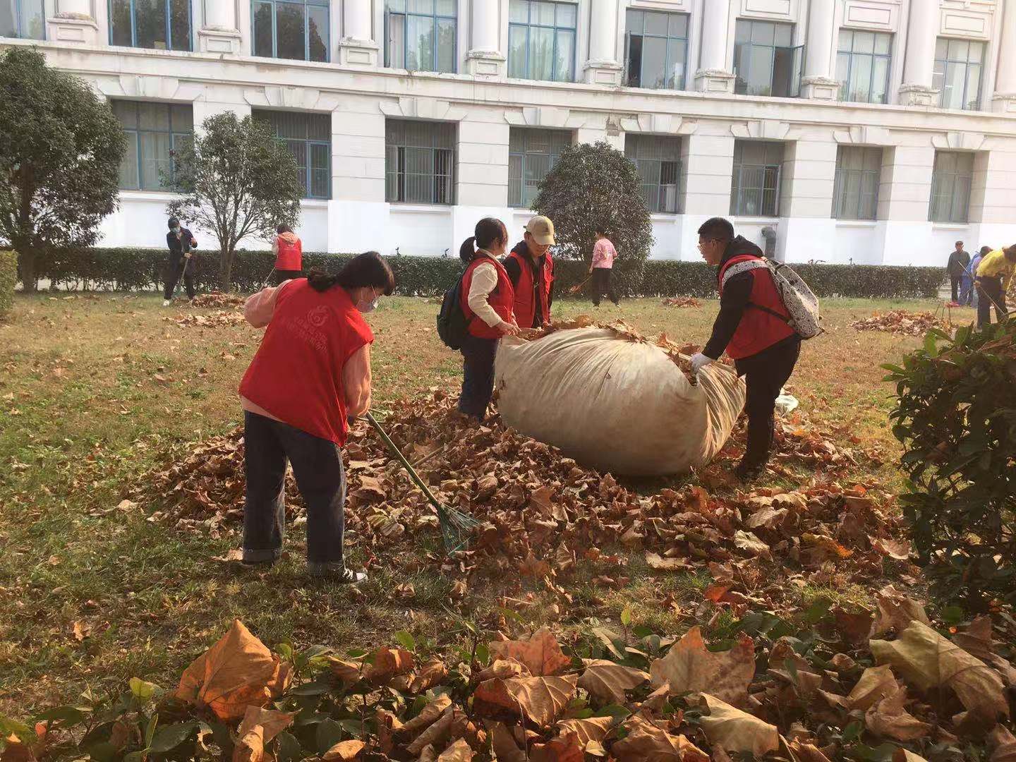 香港六台合资料免费大全