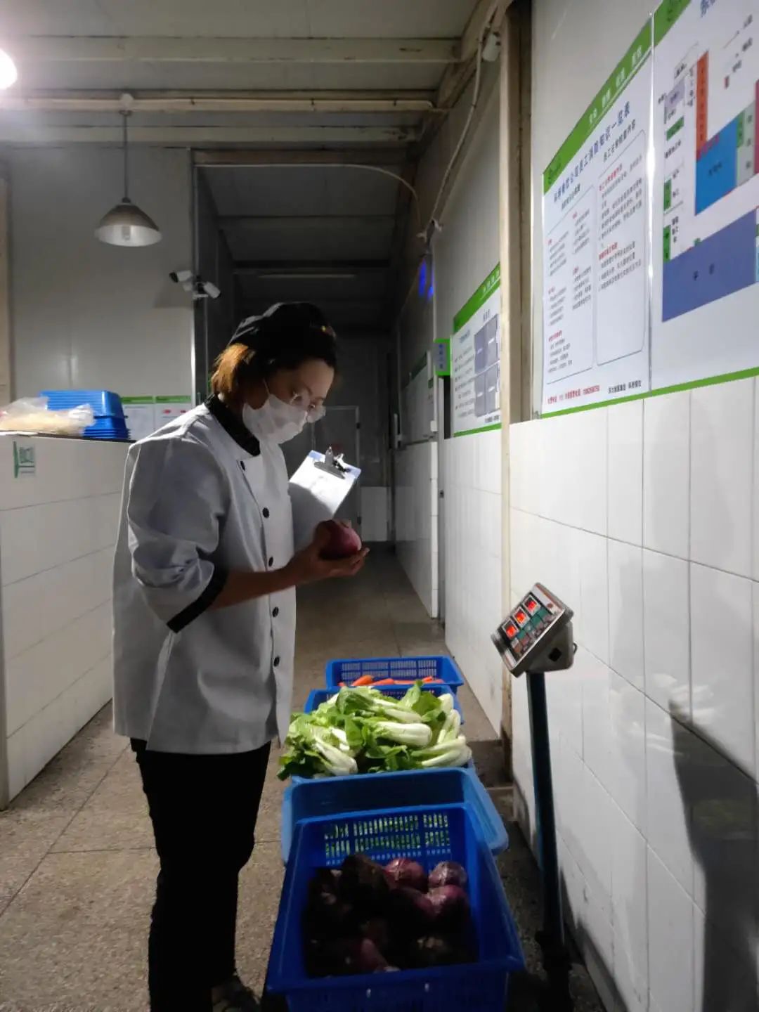 香港六台合资料免费大全