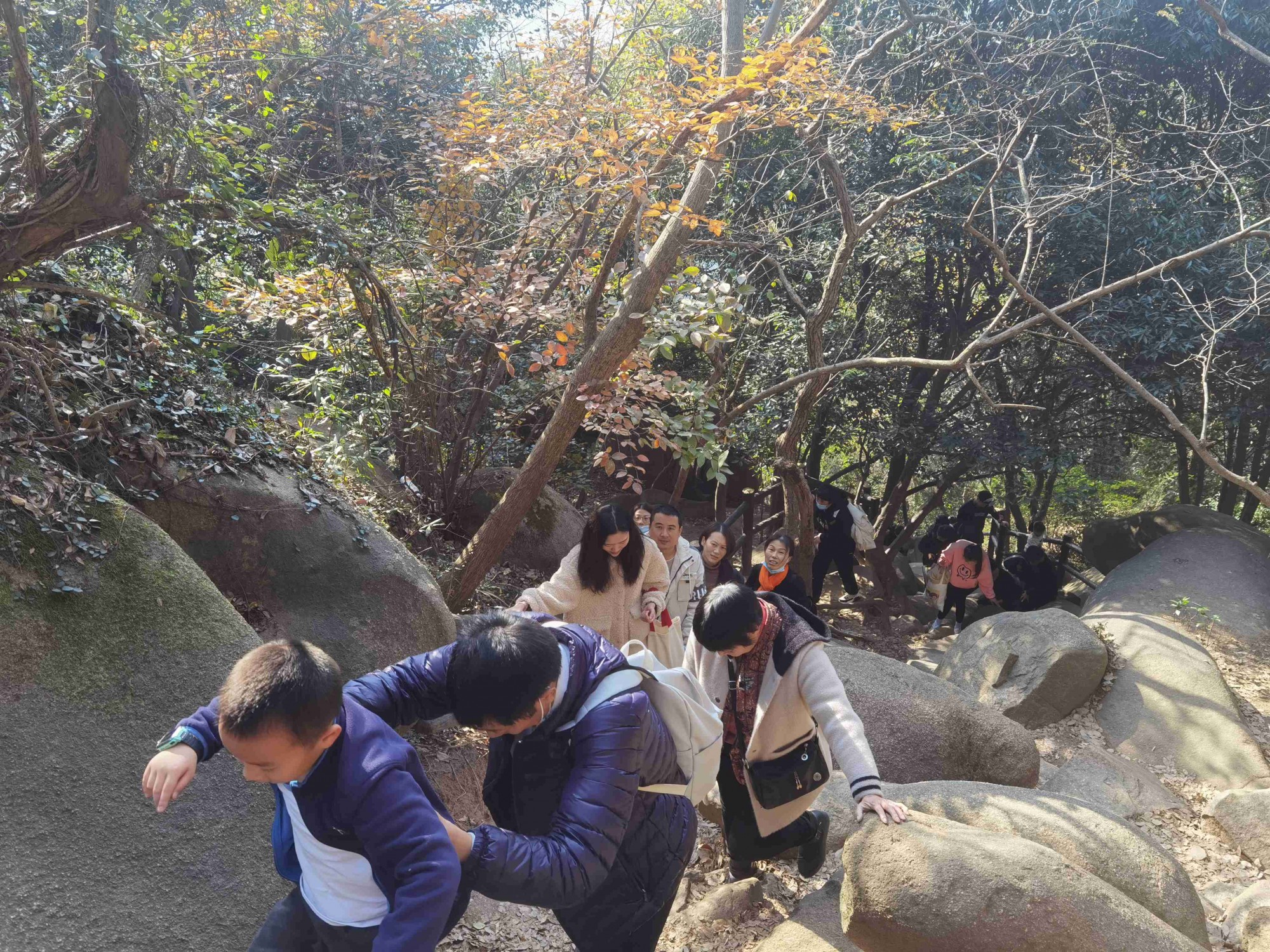 香港六台合资料免费大全