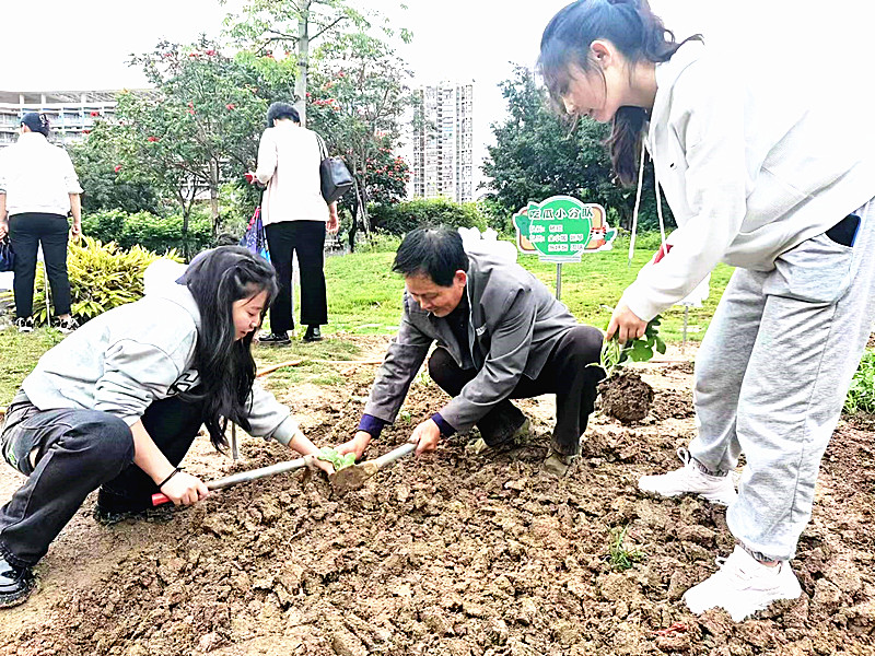 香港六台合资料免费大全