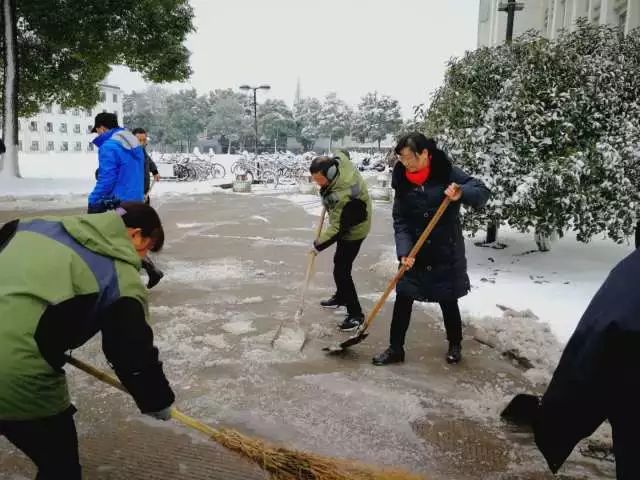 香港六台合资料免费大全